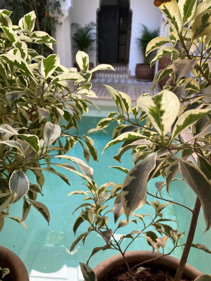 Riad Magellan Yoga And Spa Marrakesh Exterior foto