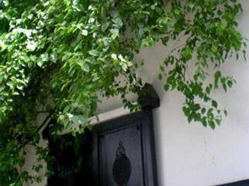 Riad Magellan Yoga And Spa Marrakesh Exterior foto